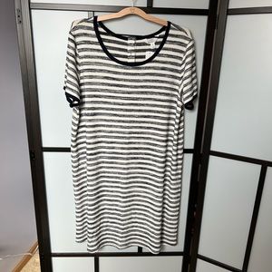 Market & Spruce/Stitch Fix Knit Dress. NWT. Size XXL. Nonsmoking home